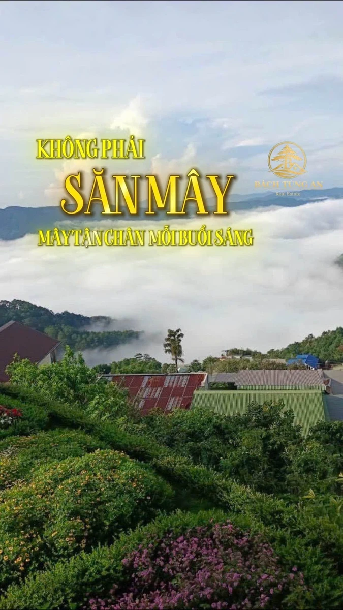 Bán đất 449m view săn mây Xuân Trường 5.2 tỷ - Ảnh thu nhỏ 4