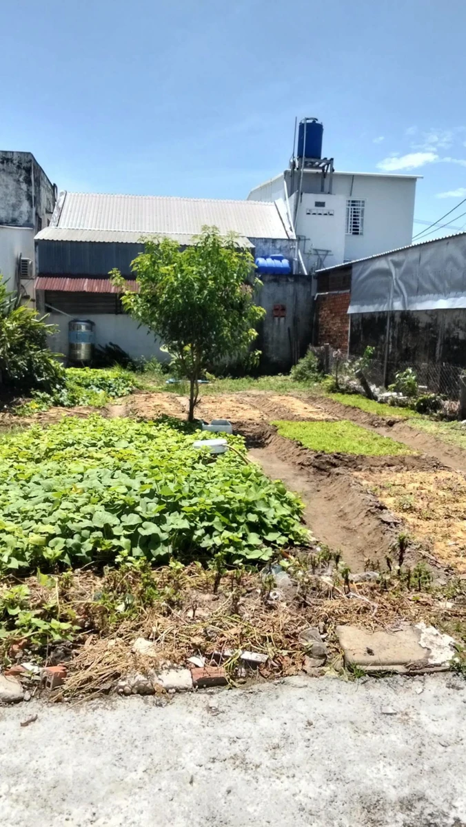 Bán đất hẻm Nguyễn Trung Trực 136m² giá 900 triệu - Ảnh thu nhỏ 3