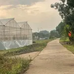 Bán đất 200m2 thổ cư 100m2 giá 125 triệu tại Hớn Quản, Bình Phước - Ảnh thu nhỏ 2