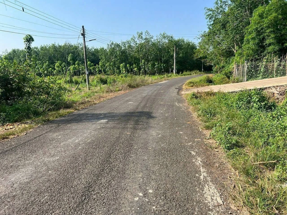 Bán đất Suối Bình Đông 24000m2 giá 2 tỷ - Ảnh thu nhỏ 3