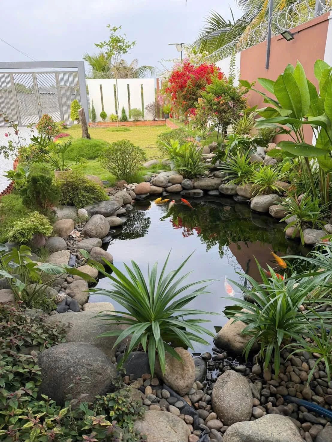 Bán đất vườn sinh thái 1100m² Phường Vĩnh Lợi Bình Tân - Ảnh 1
