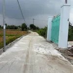 Bán đất thổ cư 175m² Bình Chánh, 1 tỷ 299 triệu - Ảnh thu nhỏ 3
