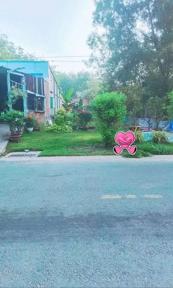 Bán lô đất mặt tiền An Tây, Bình Chánh, 304m², 2.7 tỷ - Ảnh thu nhỏ 3