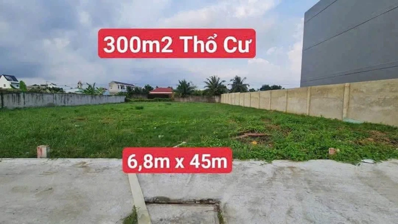 Bán 300m2 đất thổ cư sổ hồng riêng tại Tân Kim, Cần Giuộc, tặng GPXD 1 trệt 1 lầu