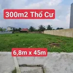 Bán 300m2 đất thổ cư sổ hồng riêng tại Tân Kim, Cần Giuộc, tặng GPXD 1 trệt 1 lầu - Ảnh thu nhỏ 1