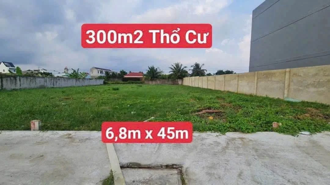 Bán 300m2 đất thổ cư sổ hồng riêng tại Tân Kim, Cần Giuộc, tặng GPXD 1 trệt 1 lầu - Ảnh 1
