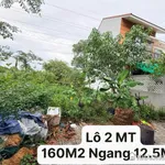 Đất góc 2 mặt tiền 159,9m² Huế 3,4 tỷ - Ảnh thu nhỏ 2