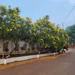 Bán đất Bình Long, Bình Phước 2500m² mặt Lê Đại Hành 1,2 tỷ - Ảnh thu nhỏ 1