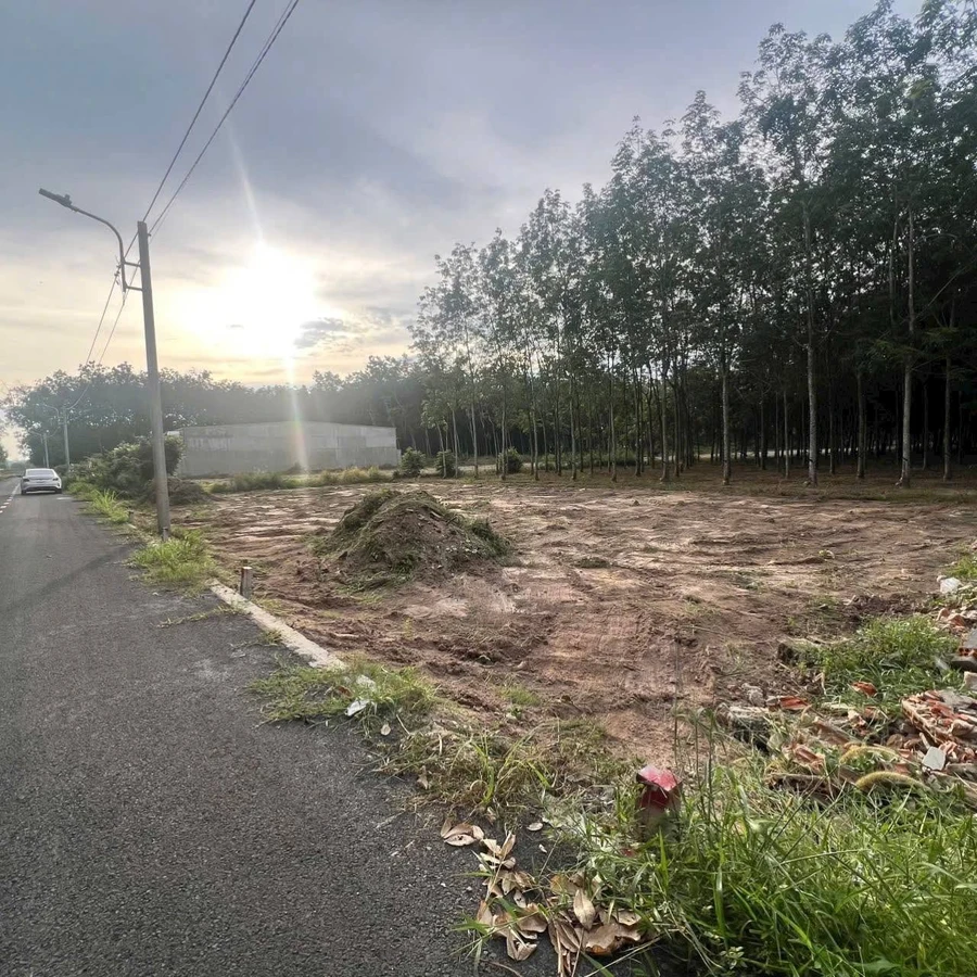 Bán đất Hòa Lợi 100m² giá 700 triệu - Ảnh thu nhỏ 4