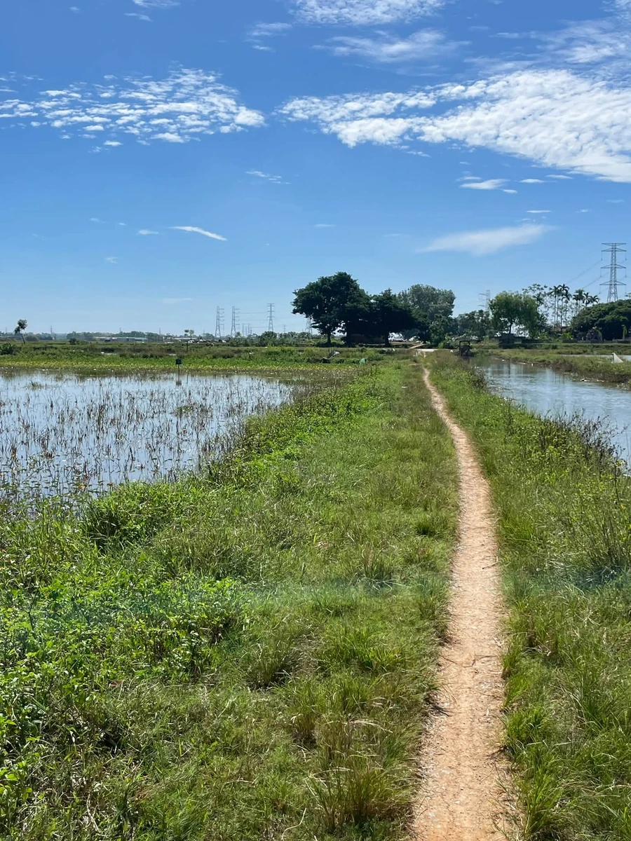 Bán 2 sào ruộng Quốc Oai, Hà Nội, 1440m², 400 triệu - Ảnh thu nhỏ 3