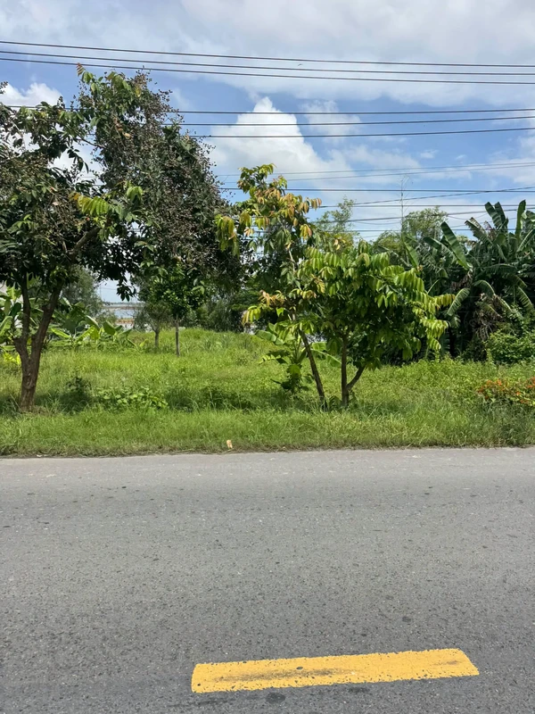 Bán nền đất Đường 842, Xã An Phước, Đồng Tháp, 65 triệu