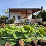 Bán đất vườn Long Tân Đất Đỏ Bà Rịa 1.077m² 2 tỷ 790 - Ảnh thu nhỏ 3