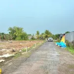 319tr, đường nhựa giá rẻ 5x16m gần vòng xoay Gò Dầu, Tây Ninh - Ảnh thu nhỏ 7