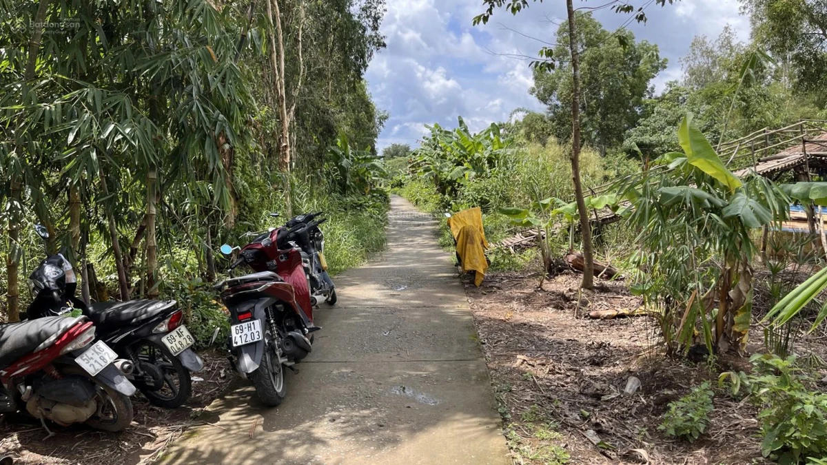 Bán lô đất 28ha (28 mẫu) - cách mặt tiền đường Tỉnh 986A đi U Minh - Cà Mau 0,5km - xã Nguyễn Phích - Ảnh thu nhỏ 2