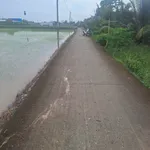 Bán đất Bình Trinh Đông, Tân Trụ, Long An, 1.2 công, 820 triệu - Ảnh thu nhỏ 2