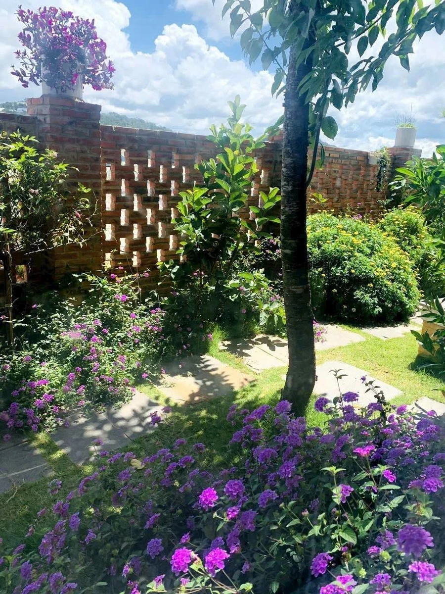 Bán villa sân vườn 300m² dòng tiền tốt đường Nguyên Tử Lực, Đà Lạt giá 12 tỷ - Ảnh thu nhỏ 3