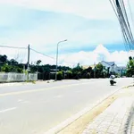 Bán lô biệt thự 2 mặt tiền 1.444 m² Đà Lạt - Ảnh thu nhỏ 2