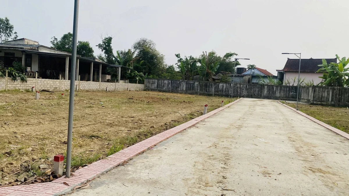 Bán đất Phú Bài 113m² từ 590 triệu - Ảnh thu nhỏ 3