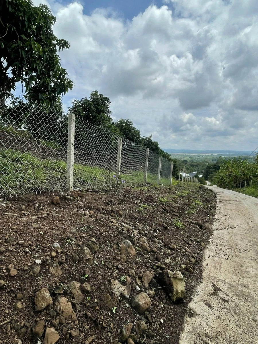 Bán đất vườn 1.000m² La Ngà có cây trái, 580 triệu - Ảnh thu nhỏ 3