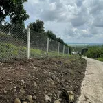 Bán đất vườn 1.000m² La Ngà có cây trái, 580 triệu - Ảnh thu nhỏ 3