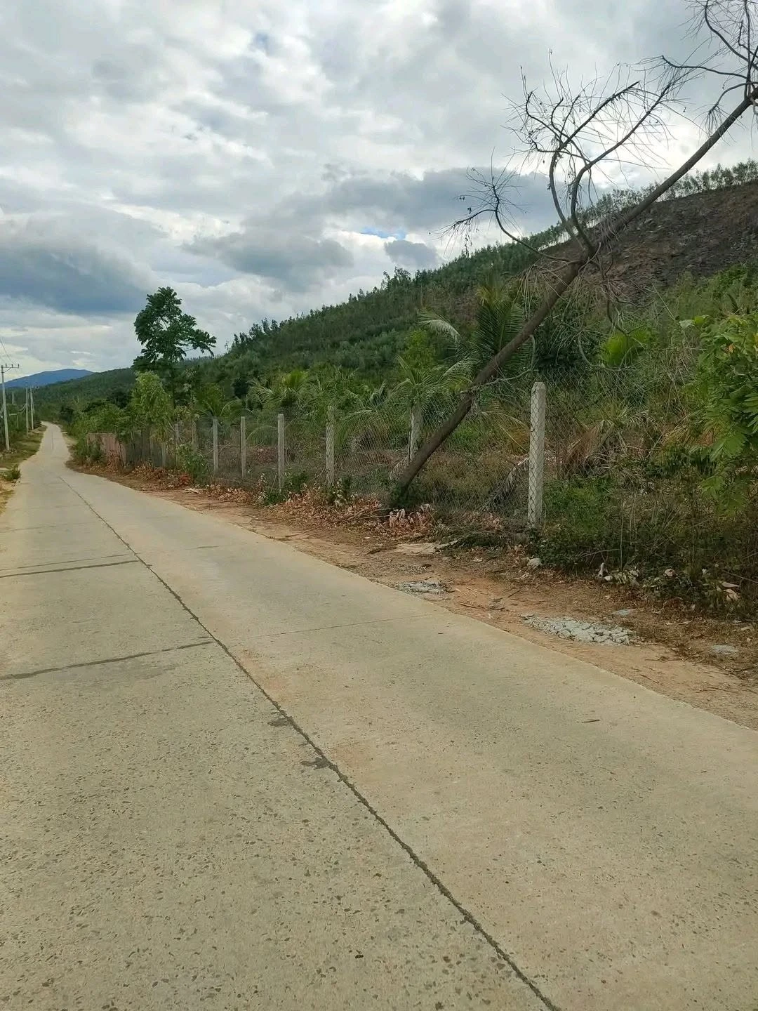Bán lô đất RSX 15000m² view biển tại Đắk Lắk - Ảnh 1