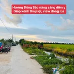 Bán đất vườn 2006m² Thạnh Lộc An Giang giá 1 tỷ 390 triệu - Ảnh thu nhỏ 2