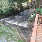 Bán đất nhà vườn 1000m2 view suối ở Bà Rịa - Vũng Tàu - Ảnh thu nhỏ 1