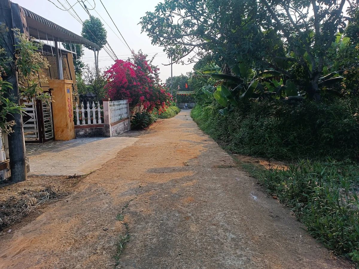 Bán đất nền 276,6m² Tân An 2, gần biển, 3tr/m² - Ảnh thu nhỏ 3