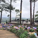 Siêu phẩm đẹp trên đồi đẹp, view rừng thông, xung quanh toàn khách sạn - Ảnh thu nhỏ 7