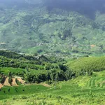 Chuyển nhượng 769m2 trung tâm SaPa. Sẵn 120m2 thổ cư. Giá 18 tỷ - Ảnh thu nhỏ 6