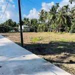 Bán đất thổ cư 160m² Xuân Đông, Chợ Gạo, Tiền Giang giá 320 triệu - Ảnh thu nhỏ 5