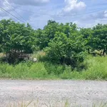 Bán lô đất 300m² Dương Minh Châu, Tây Ninh, giá 429 triệu - Ảnh thu nhỏ 3
