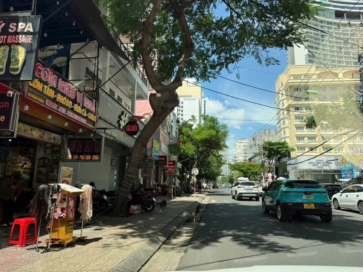 Bán nhà mặt tiền Hùng Vương Nha Trang 130m² doanh thu 70tr/tháng - Ảnh thu nhỏ 3