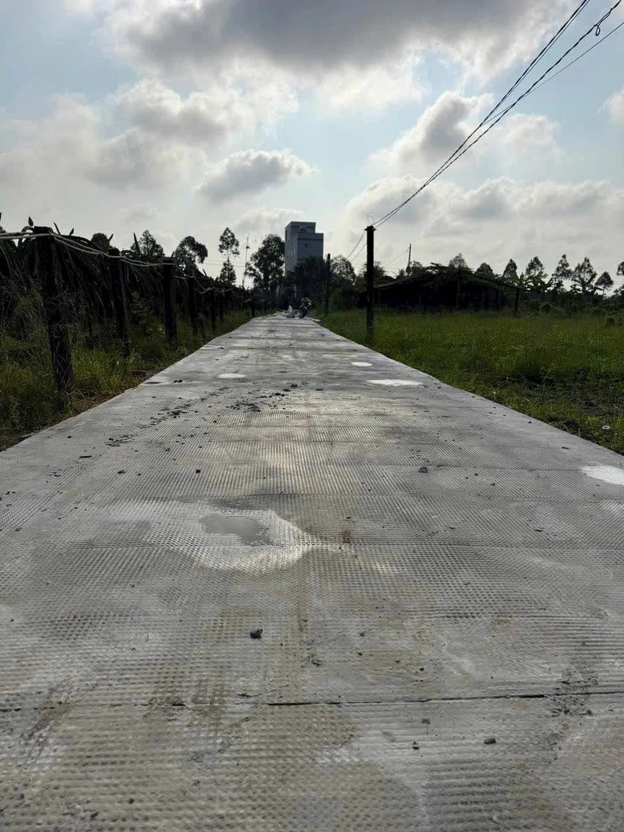 Bán đất 12x80m nở hậu, có sổ, ao cá, xã Tầm Vu, Tây Ninh - Ảnh thu nhỏ 3