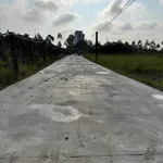 Bán đất 12x80m nở hậu, có sổ, ao cá, xã Tầm Vu, Tây Ninh - Ảnh thu nhỏ 3