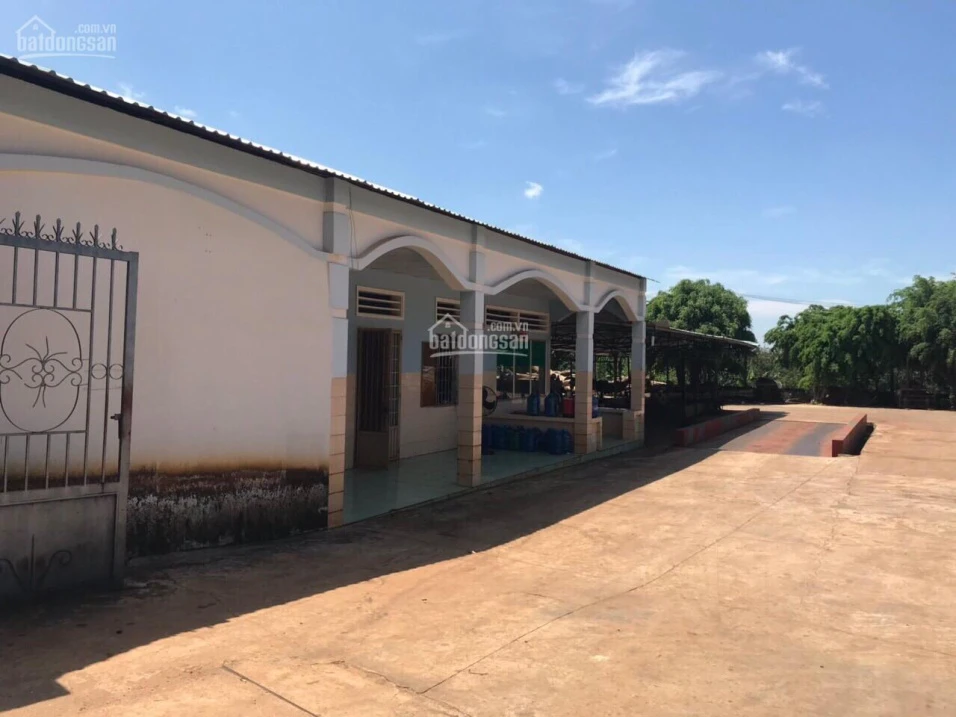 Chính chủ bán nhà máy chế biến mủ cao su Giang Sơn, 20.000m2, đang hoạt động tốt, pháp lý rõ ràng - Ảnh thu nhỏ 2