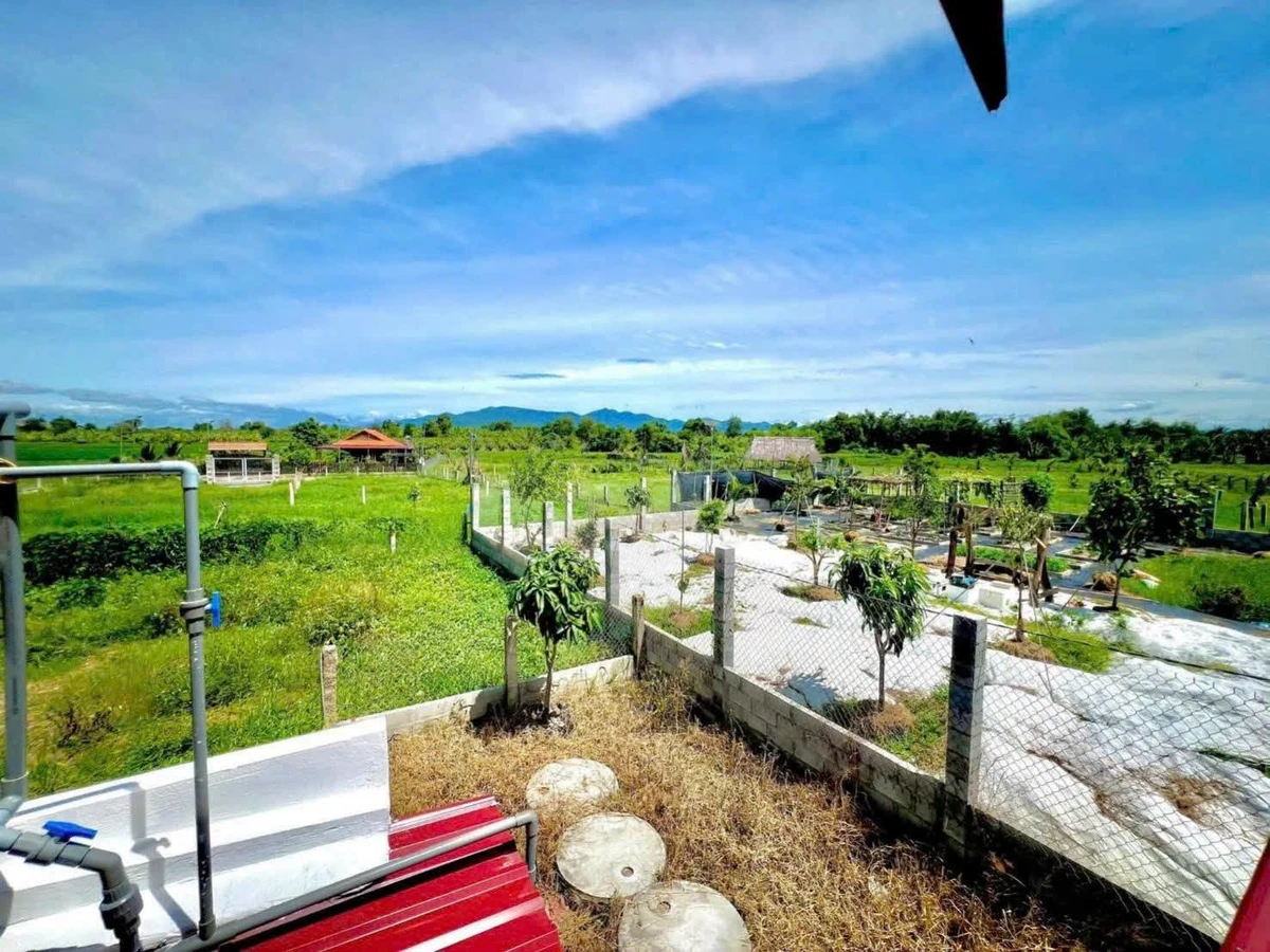 Bán nhà vườn 735m² tại Hàm Chính, Nhà Bè, 1,9 tỷ - Ảnh thu nhỏ 2