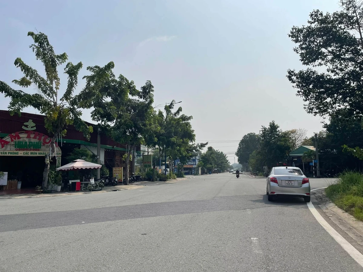 Bán đất 100m² Đường số 1, Phường Bình Dương, giá 3 tỷ - Ảnh thu nhỏ 2
