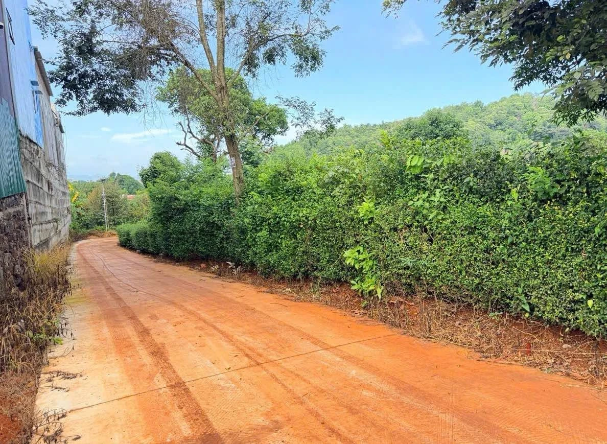 Bán đất nền 90m² gần chợ Mai Hắc Đế 379 triệu - Ảnh 1