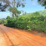 Bán đất nền 90m² gần chợ Mai Hắc Đế 379 triệu - Ảnh thu nhỏ 1