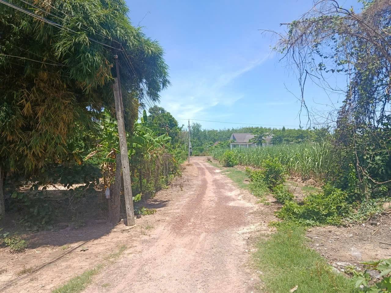 Bán đất 250m² Gò Dầu Tây Ninh gần bệnh viện - Ảnh thu nhỏ 2