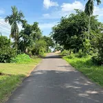 Bán đất Buôn Huê, Ea Kao, Buôn Ma Thuột 600m2, khu homestay, 700 triệu/bìa - Ảnh thu nhỏ 1