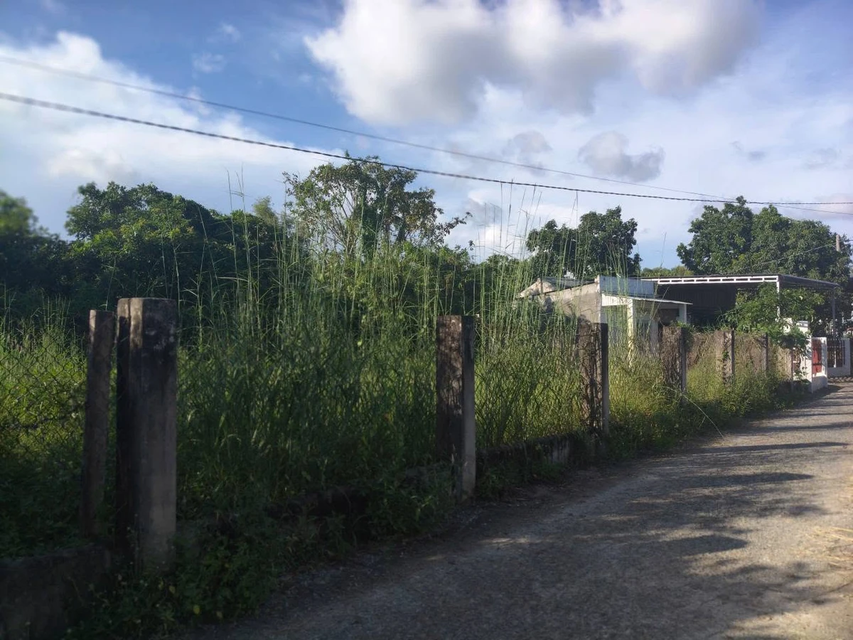 Bán đất Phước Tân 385m2, giá 1 tỷ 2 tại Hồ Tràm - Ảnh thu nhỏ 3