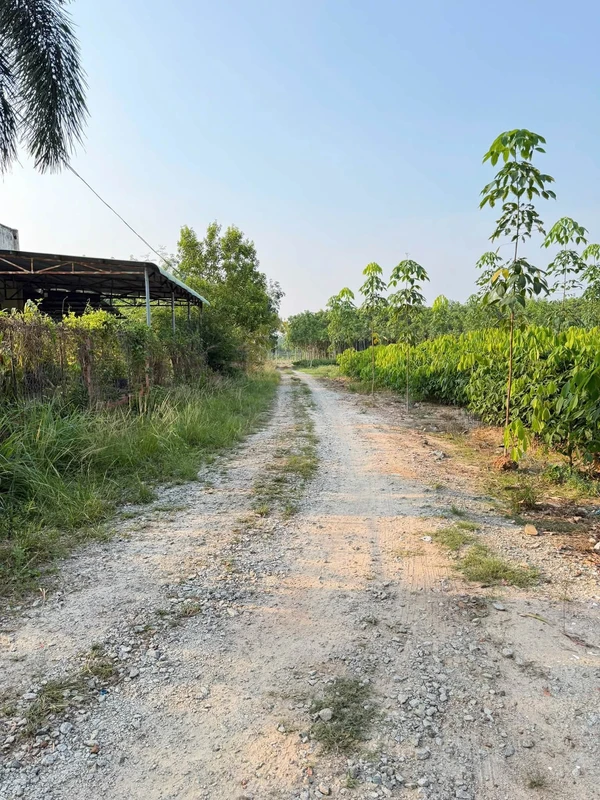 Bán đất 279m2 gần chợ Minh Long, Chơn Thành, Bình Phước, 350 triệu