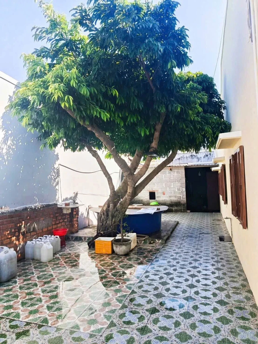 Bán nhà cấp 4 mặt tiền Phan Trung, Phan Thiết, 216m2 - Ảnh thu nhỏ 3