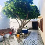 Bán nhà cấp 4 mặt tiền Phan Trung, Phan Thiết, 216m2 - Ảnh thu nhỏ 3