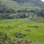 Bán đất du lịch 5857m2 tại Mai Châu, Hòa Bình 5 tỷ - Ảnh thu nhỏ 4