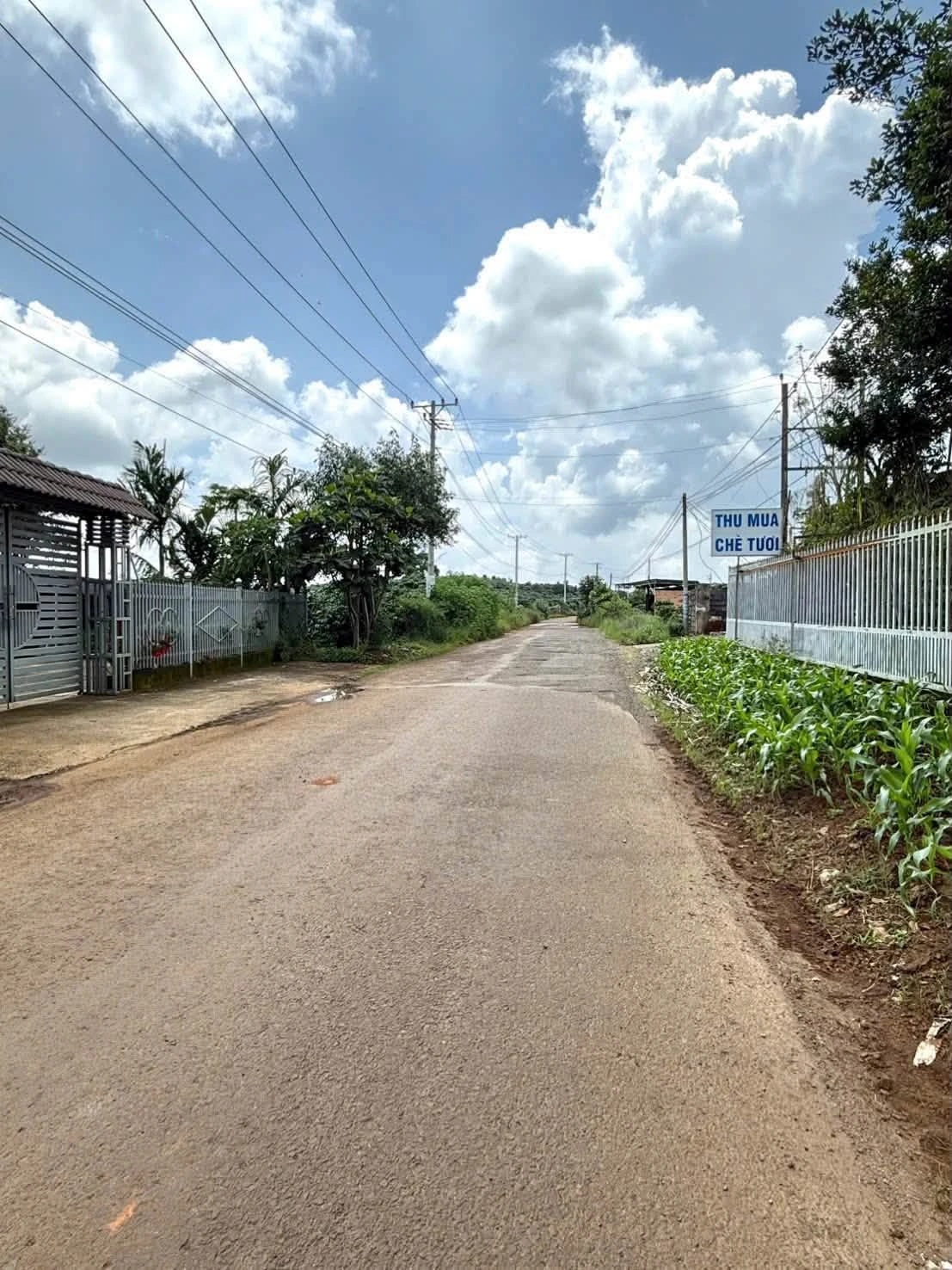 Bán nhà + kho xưởng mặt tiền 3.859m² Nguyễn Huệ, Bảo Lộc - Ảnh 1