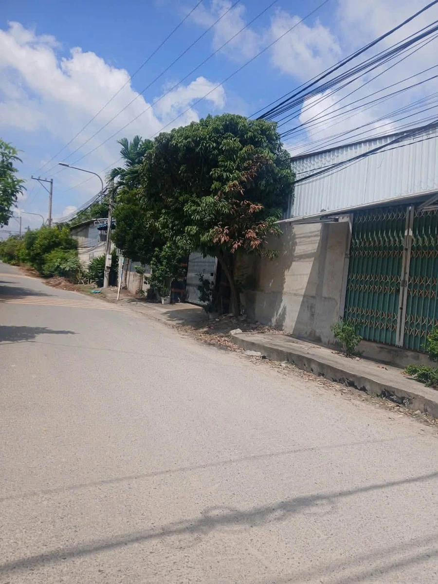 Bán đất Phú An Bến Cát 245m² 1 tỷ 650 triệu - Ảnh thu nhỏ 3