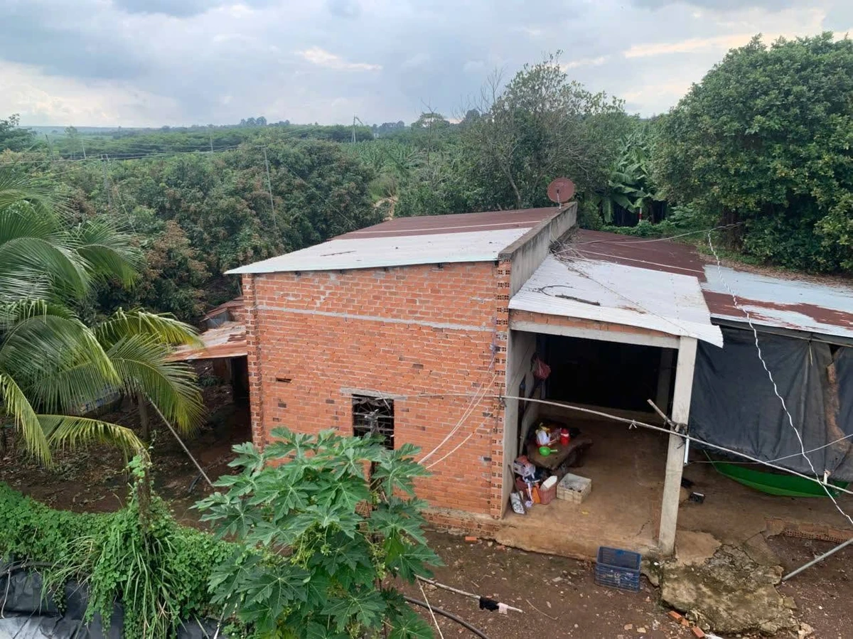 Bán vườn nhãn 4,3 mẫu, 600m2 thổ cư, 3 mặt tiền, giá 25 tỷ tại Cẩm Mỹ, Đồng Nai - Ảnh thu nhỏ 3